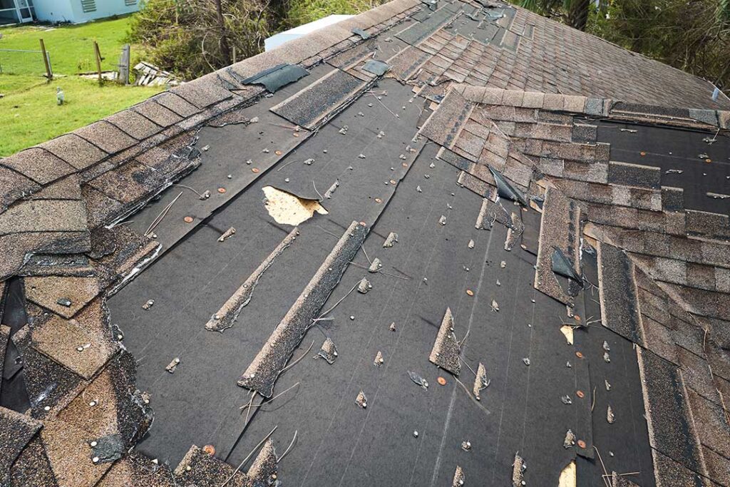 A homeowner examines dark roof streaks from the ground with binoculars beside a shaded house.